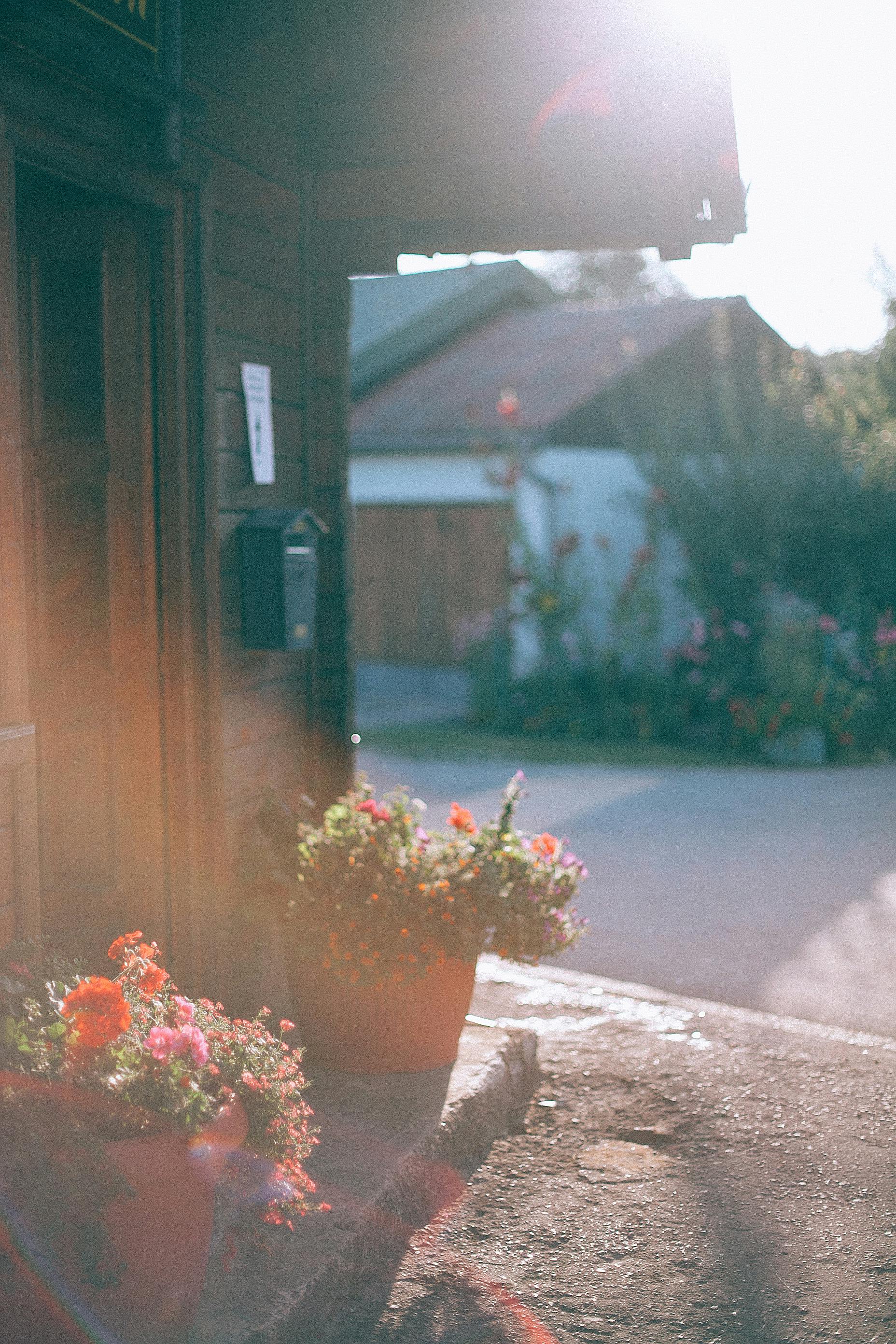 外構リフォーム｜イメージ写真